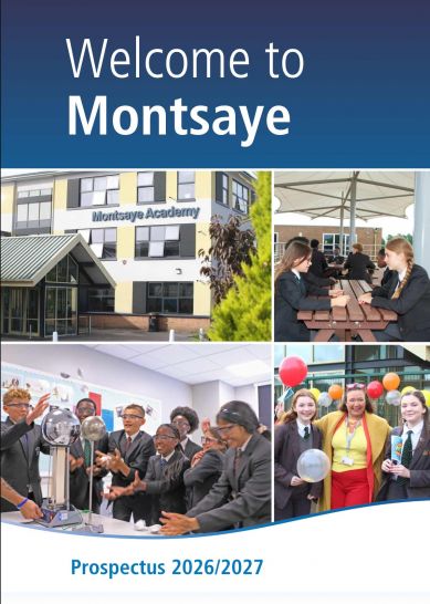 Montsaye prospectus